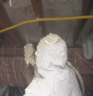 Newport News Virgina crawl space insulation